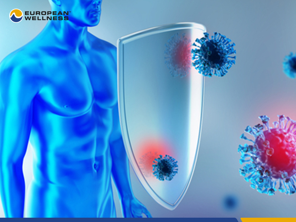 Tế bào miễn dịch bảo vệ cơ thể khỏi những tác nhân gây hại