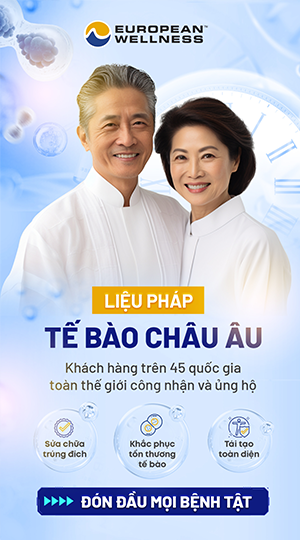 EWH Việt Nam