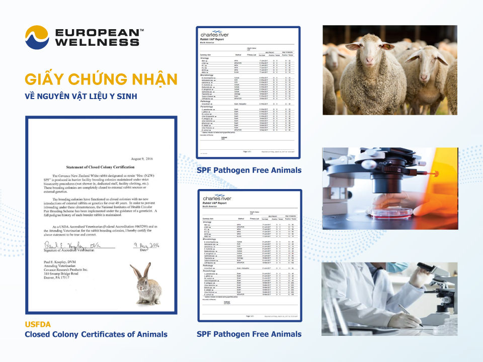 Lieu-phap-tai-European-Wellness-dat-cac-chung-nhan-an-toan-theo-US-FDA.png
