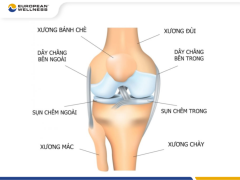 Đau khớp gối là gì?