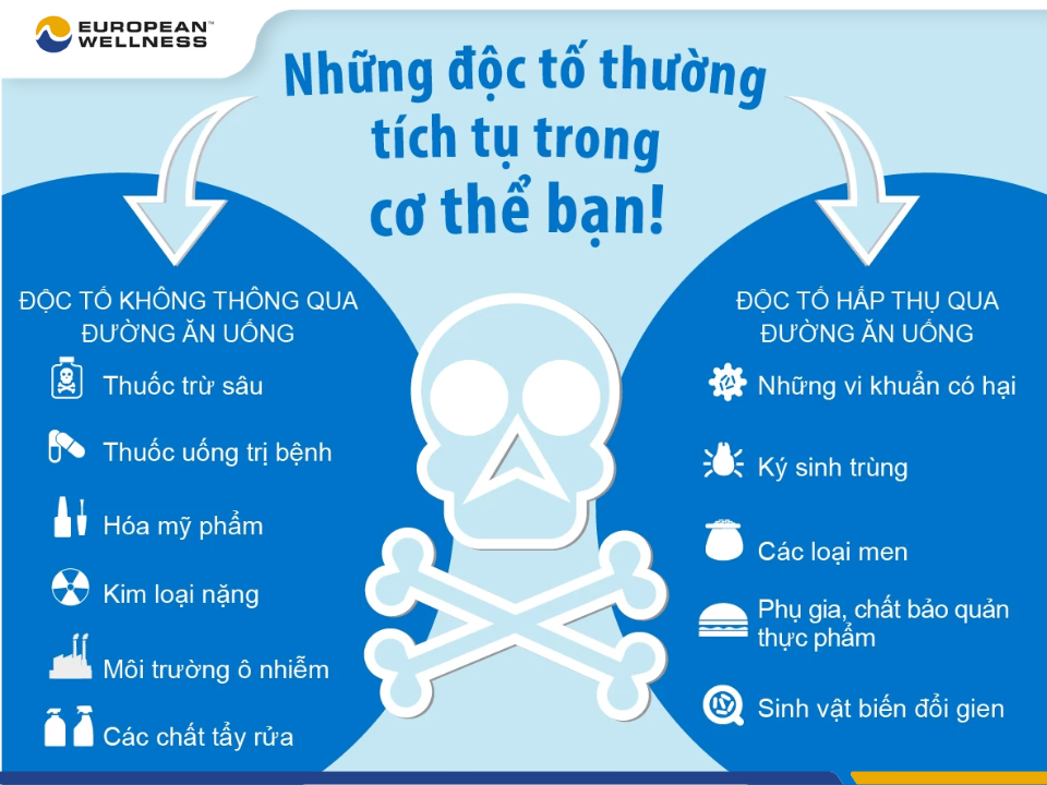 Lý do cần thải độc cơ thể là gì