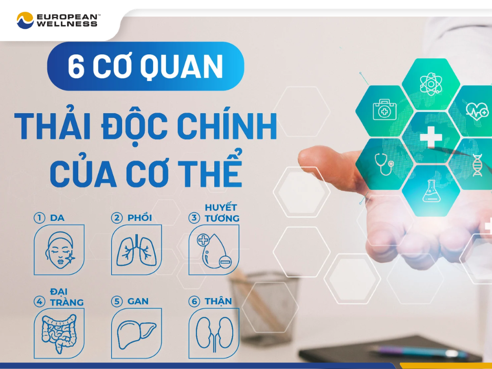 Thải độc cơ thể là gì?