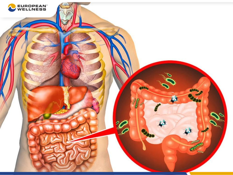 Vì sao phải thải độc cơ thể 